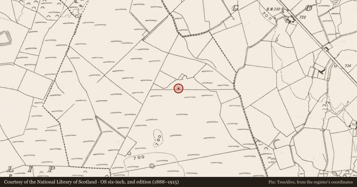 Ordnance Survey six-inch map, 2nd edition (1888–1915) covering the location of Cairn - clearance cairn, Gorraun, County Offaly, with a pin at the register's coordinates