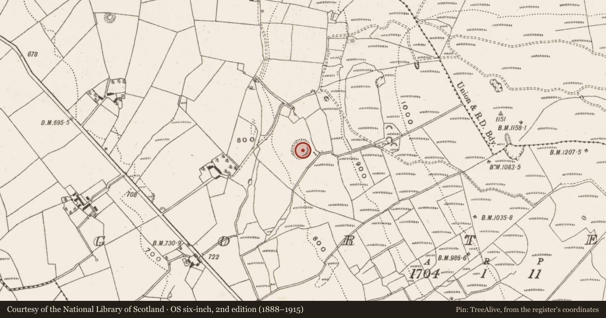 Ordnance Survey six-inch map, 2nd edition (1888–1915) covering the location of Ringfort - rath, Gorteen, County Offaly, with a pin at the register's coordinates