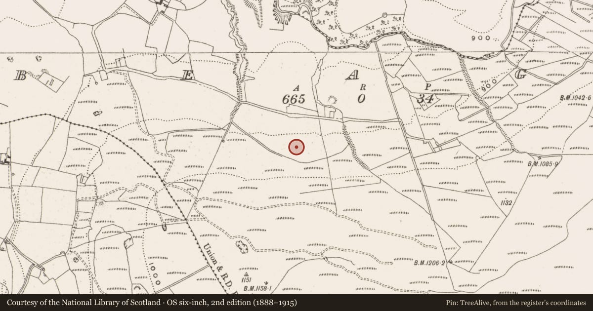 Ordnance Survey six-inch map, 2nd edition (1888–1915) covering the location of Enclosure, Beagh, County Offaly, with a pin at the register's coordinates