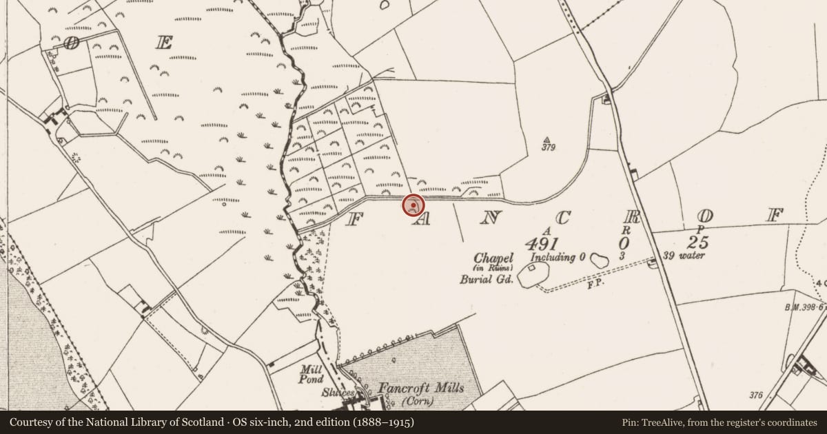 Ordnance Survey six-inch map, 2nd edition (1888–1915) covering the location of Castle - motte, Fancroft, County Offaly, with a pin at the register's coordinates