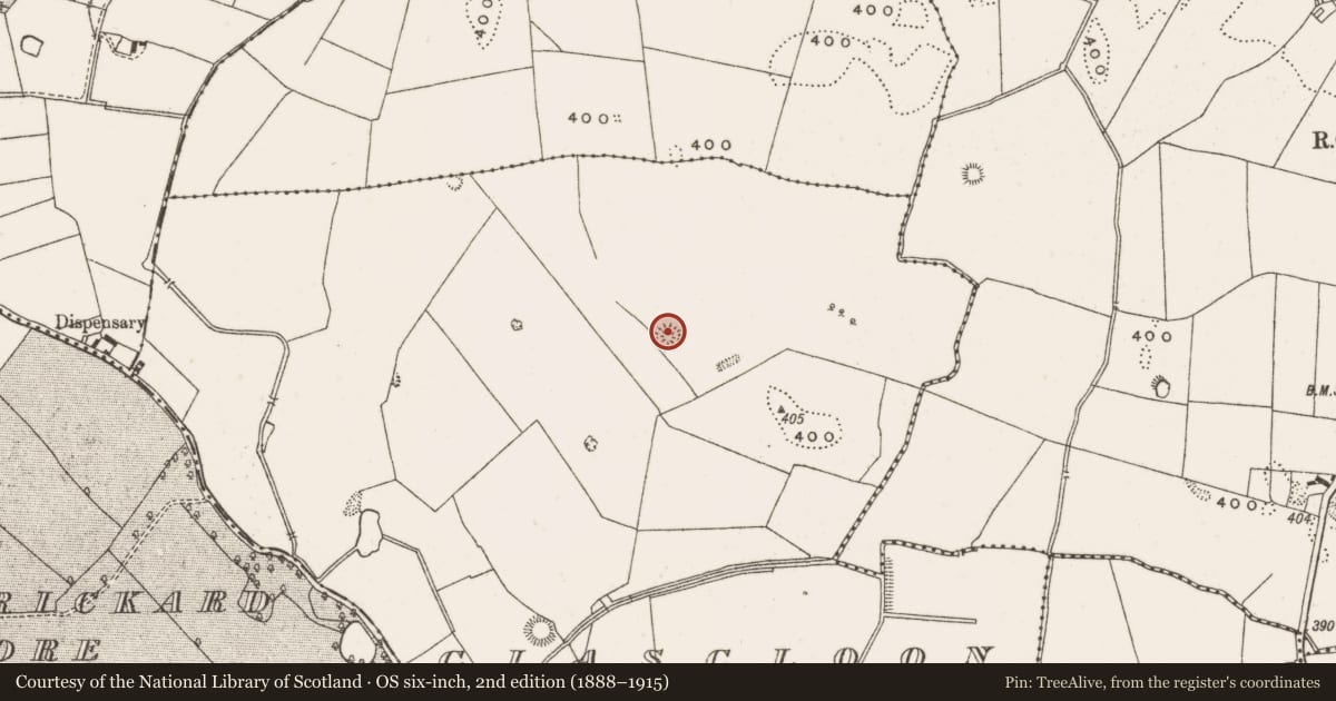 Ordnance Survey six-inch map, 2nd edition (1888–1915) covering the location of Barrow - ring-barrow, Glascloon, County Offaly, with a pin at the register's coordinates