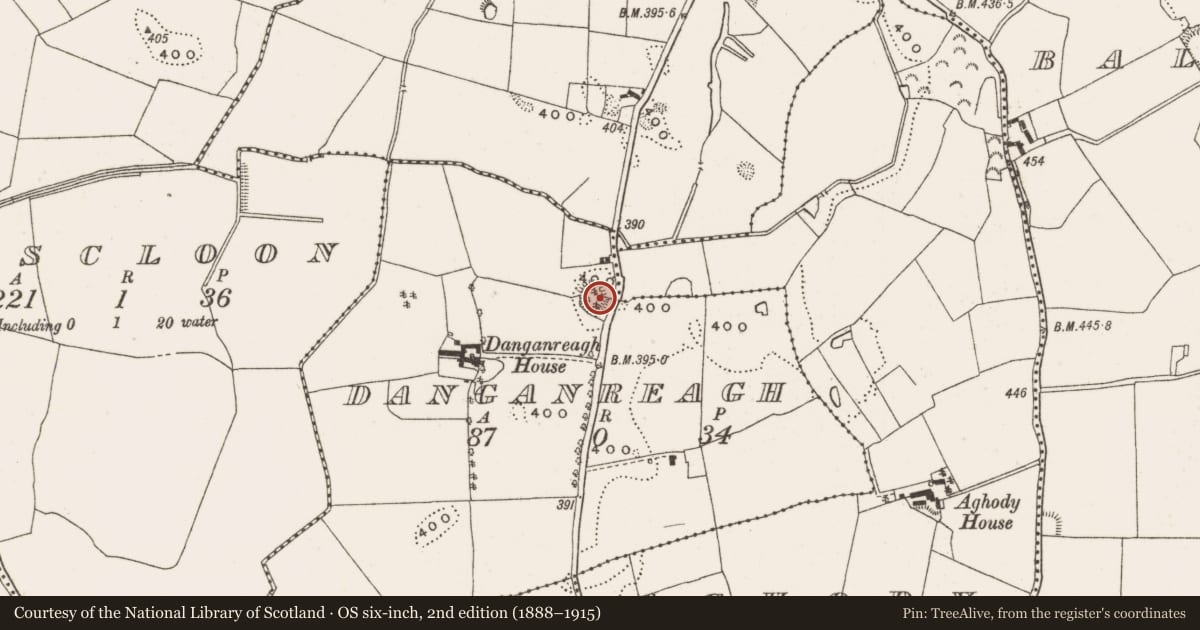 Ordnance Survey six-inch map, 2nd edition (1888–1915) covering the location of Castle - motte, Danganreagh, County Offaly, with a pin at the register's coordinates