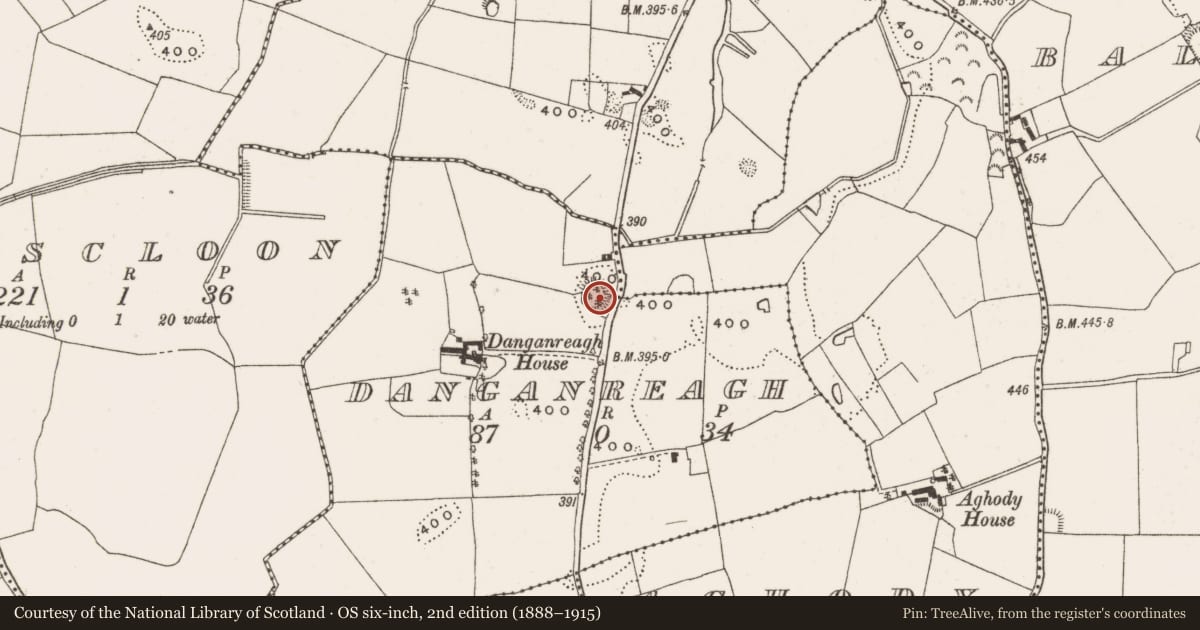 Ordnance Survey six-inch map, 2nd edition (1888–1915) covering the location of Souterrain, Danganreagh, County Offaly, with a pin at the register's coordinates