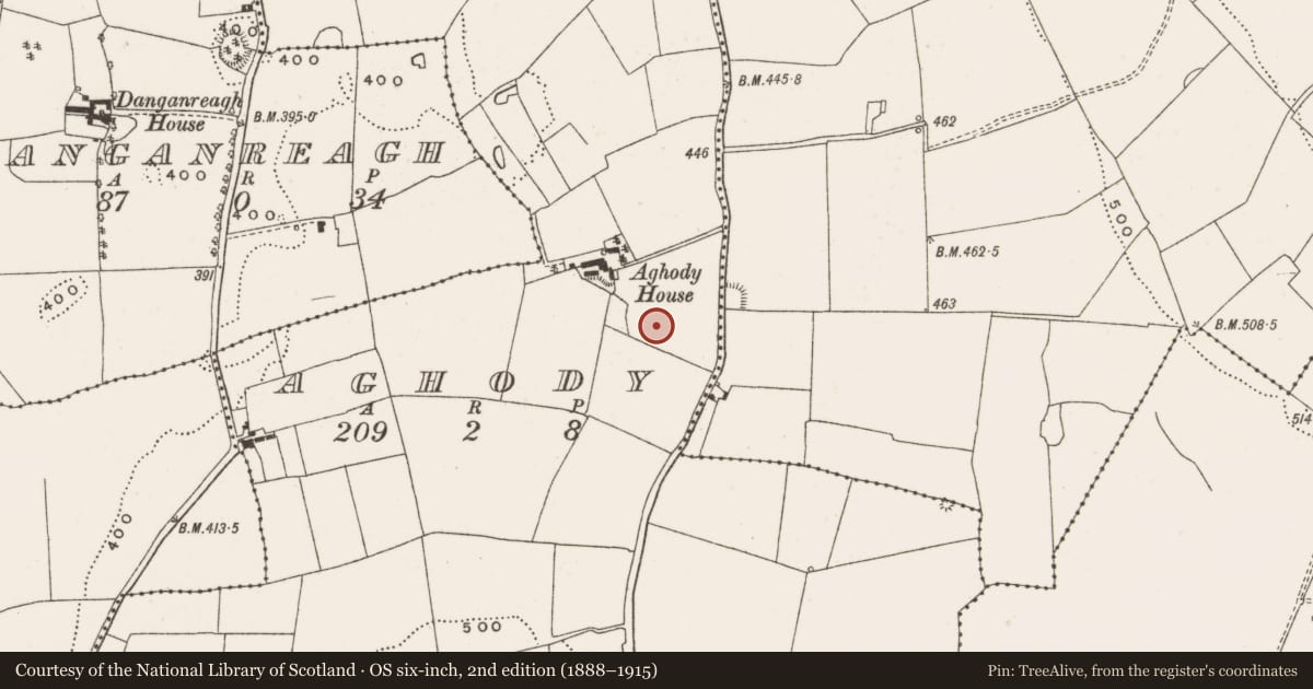 Ordnance Survey six-inch map, 2nd edition (1888–1915) covering the location of Enclosure, Aghody, County Offaly, with a pin at the register's coordinates
