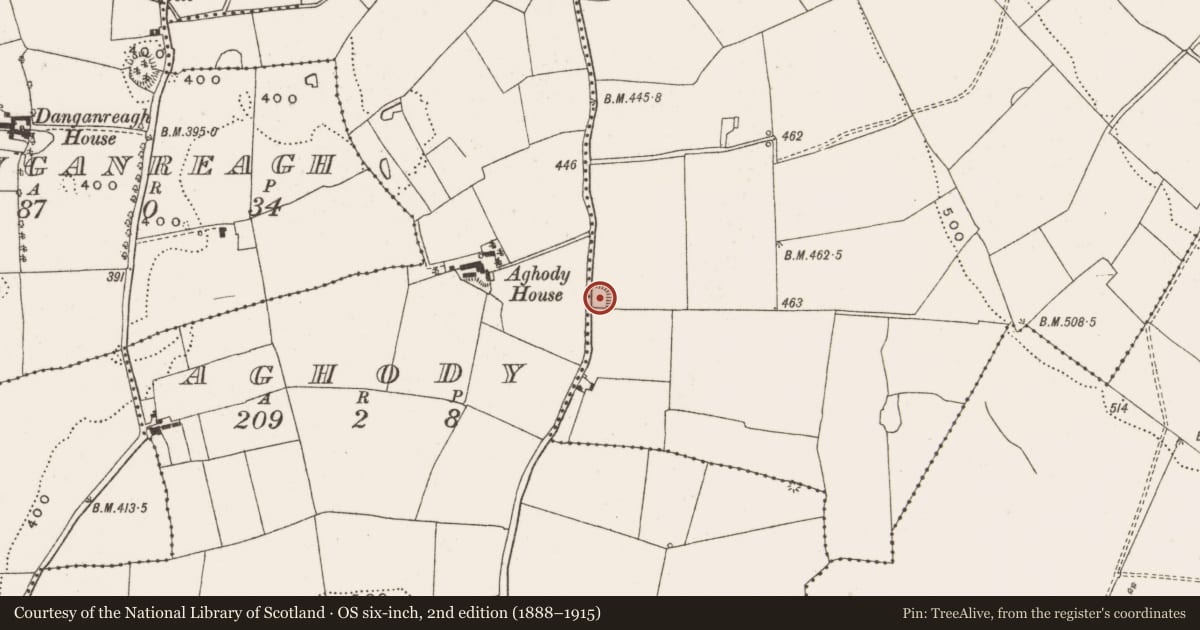 Ordnance Survey six-inch map, 2nd edition (1888–1915) covering the location of Enclosure, Ballyphilip, County Offaly, with a pin at the register's coordinates