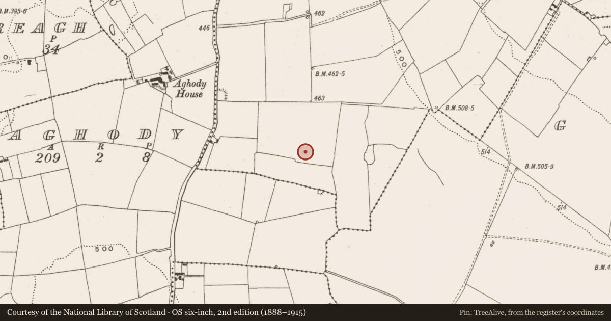 Ordnance Survey six-inch map, 2nd edition (1888–1915) covering the location of Barrow - unclassified, Ballyphilip, County Offaly, with a pin at the register's coordinates