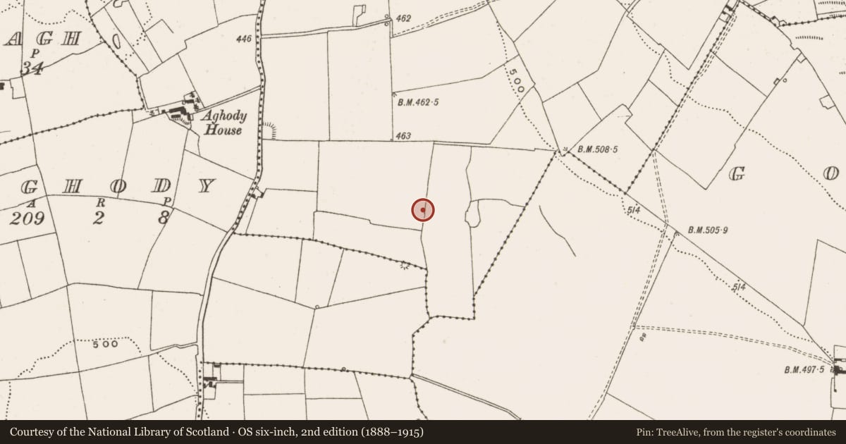 Ordnance Survey six-inch map, 2nd edition (1888–1915) covering the location of Quarry, Ballyphilip, County Offaly, with a pin at the register's coordinates