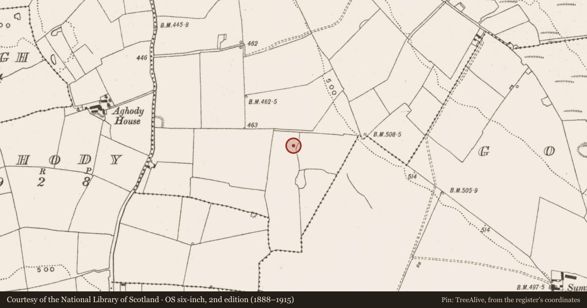 Ordnance Survey six-inch map, 2nd edition (1888–1915) covering the location of Enclosure, Ballyphilip, County Offaly, with a pin at the register's coordinates
