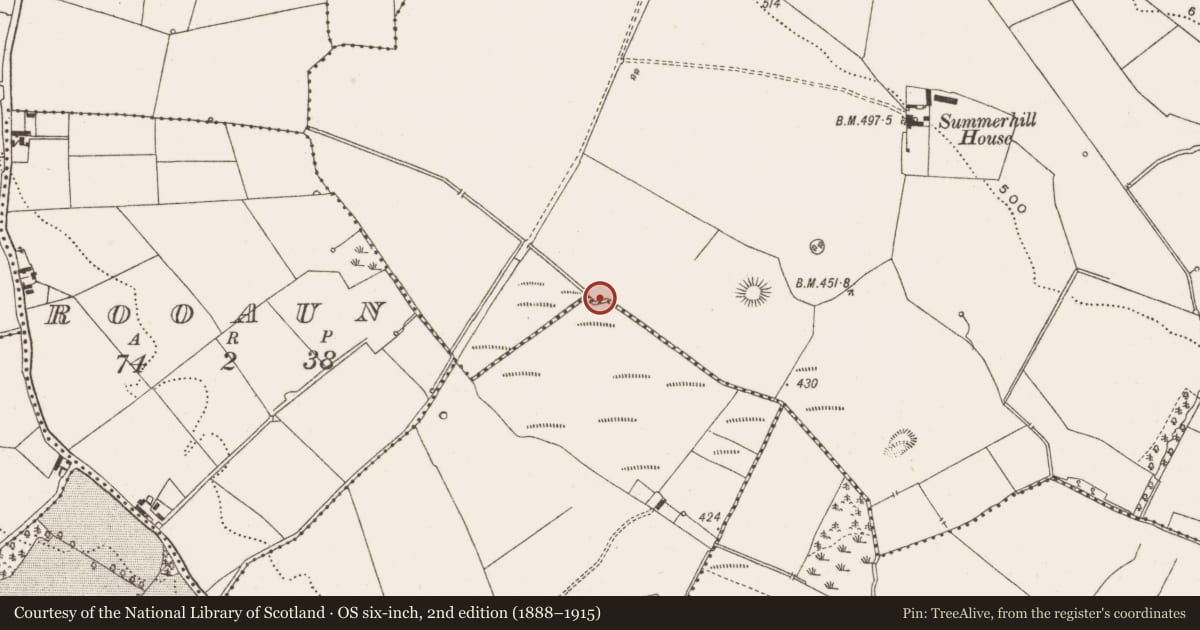 Ordnance Survey six-inch map, 2nd edition (1888–1915) covering the location of Fulacht fia, Gorraun, County Offaly, with a pin at the register's coordinates