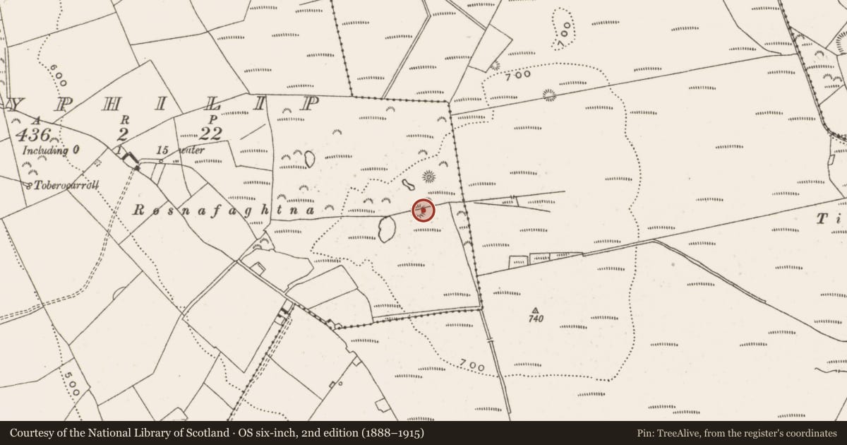 Ordnance Survey six-inch map, 2nd edition (1888–1915) covering the location of Burial mound, Ballyphilip, County Offaly, with a pin at the register's coordinates