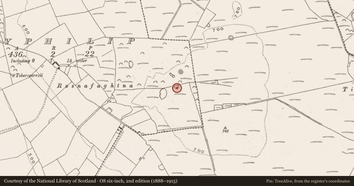 Ordnance Survey six-inch map, 2nd edition (1888–1915) covering the location of Barrow - ring-barrow, Ballyphilip, County Offaly, with a pin at the register's coordinates