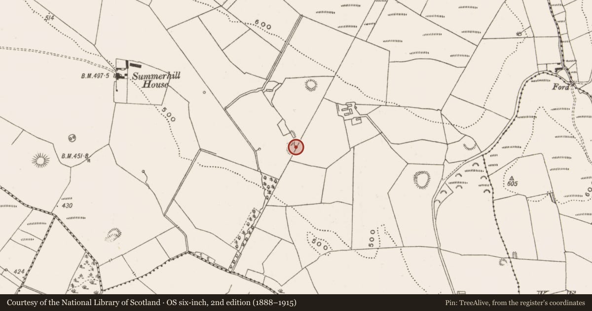 Ordnance Survey six-inch map, 2nd edition (1888–1915) covering the location of Kiln - lime, Gorraun, County Offaly, with a pin at the register's coordinates