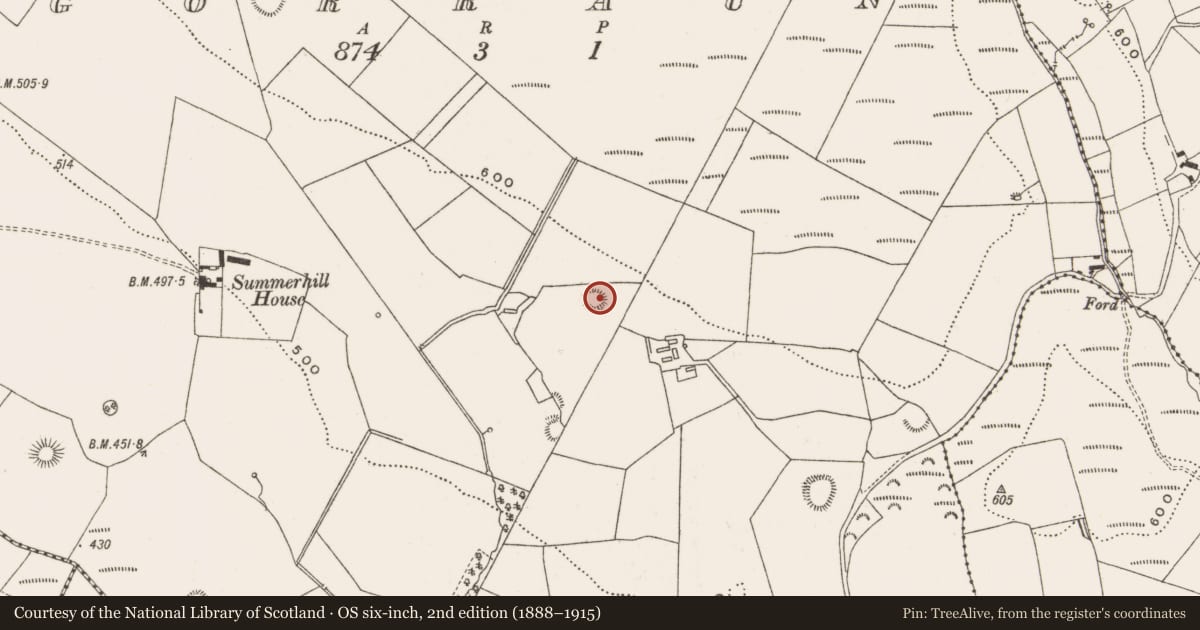 Ordnance Survey six-inch map, 2nd edition (1888–1915) covering the location of Enclosure, Gorraun, County Offaly, with a pin at the register's coordinates