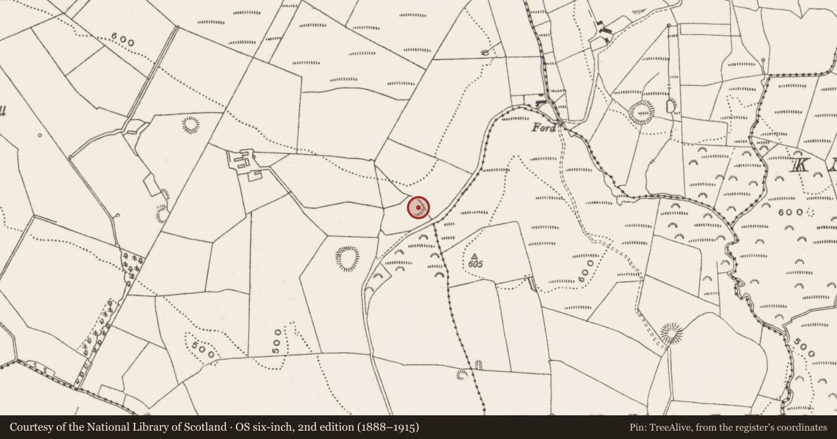 Ordnance Survey six-inch map, 2nd edition (1888–1915) covering the location of Enclosure, Gorraun, County Offaly, with a pin at the register's coordinates