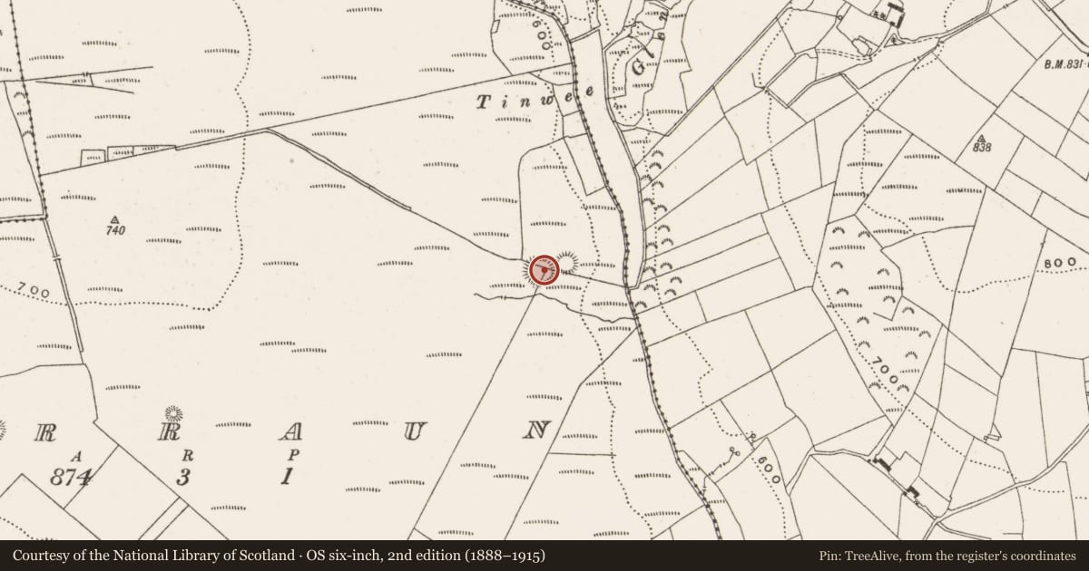 Ordnance Survey six-inch map, 2nd edition (1888–1915) covering the location of Ringfort - rath, Gorraun, County Offaly, with a pin at the register's coordinates