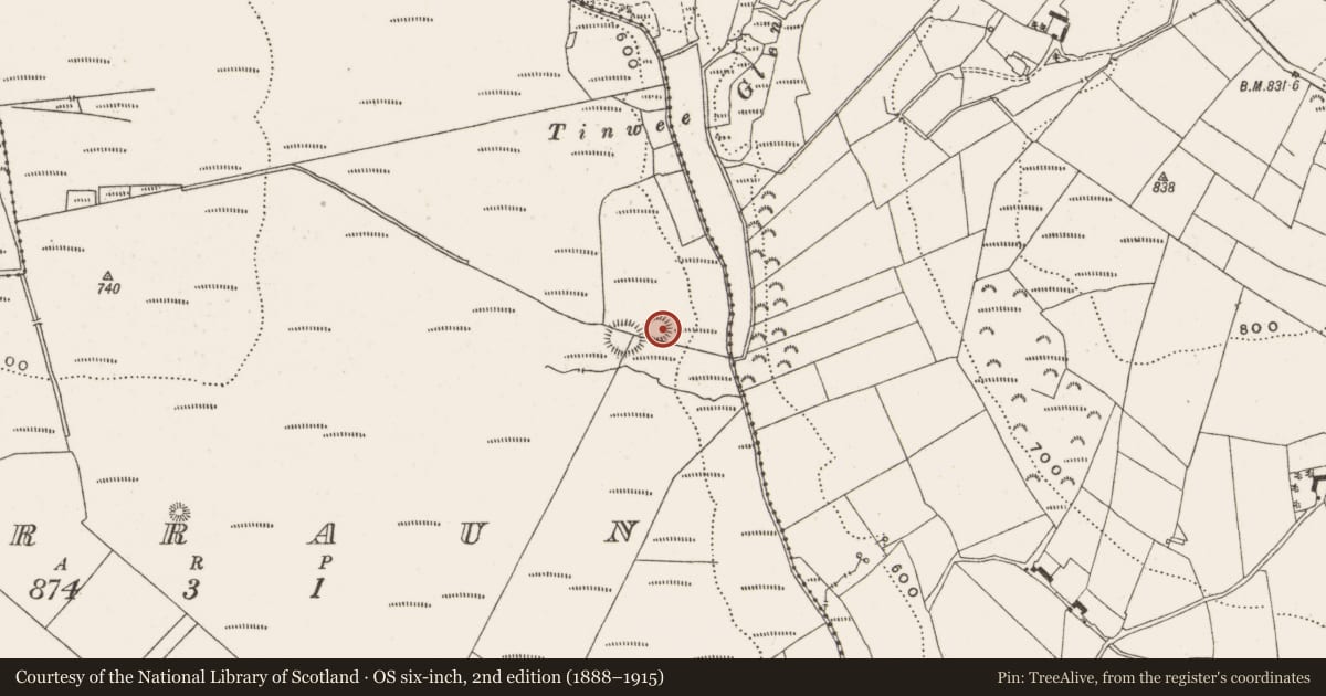 Ordnance Survey six-inch map, 2nd edition (1888–1915) covering the location of Ringfort - rath, Gorraun, County Offaly, with a pin at the register's coordinates