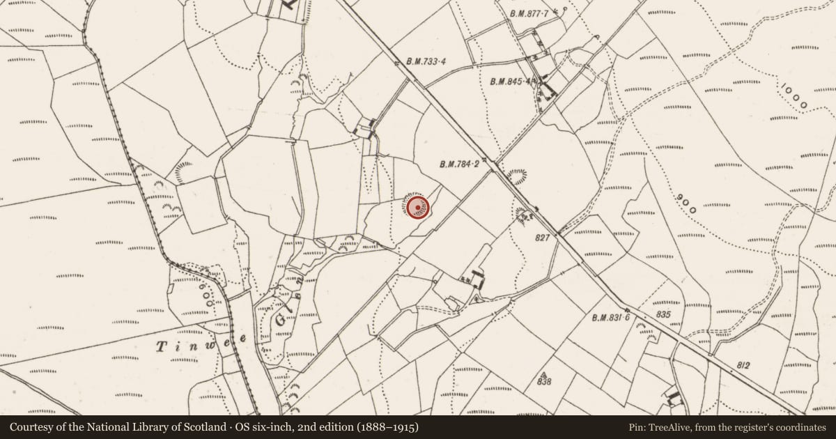 Ordnance Survey six-inch map, 2nd edition (1888–1915) covering the location of Ringfort - rath, Gorteen, County Offaly, with a pin at the register's coordinates