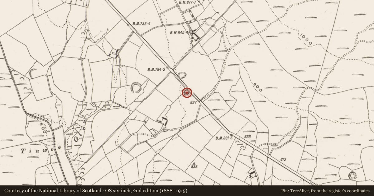 Ordnance Survey six-inch map, 2nd edition (1888–1915) covering the location of Enclosure, Gorteen, County Offaly, with a pin at the register's coordinates