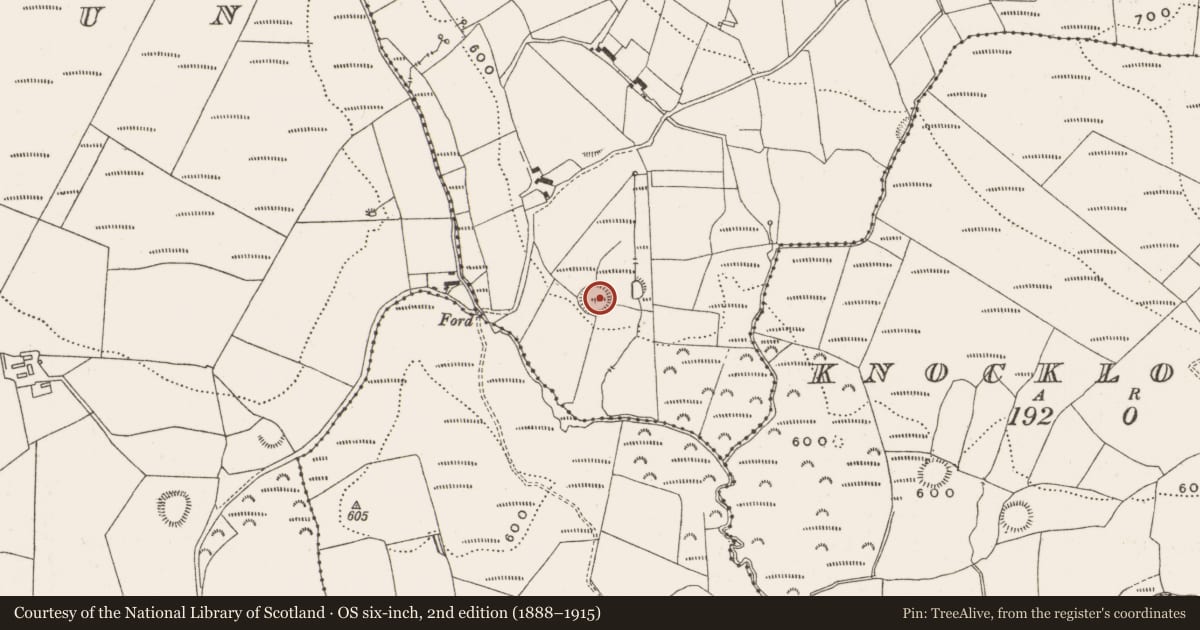 Ordnance Survey six-inch map, 2nd edition (1888–1915) covering the location of Ringfort - rath, Gorteen, County Offaly, with a pin at the register's coordinates