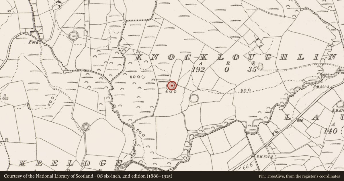 Ordnance Survey six-inch map, 2nd edition (1888–1915) covering the location of Ringfort - rath, Knockloughlin, County Offaly, with a pin at the register's coordinates