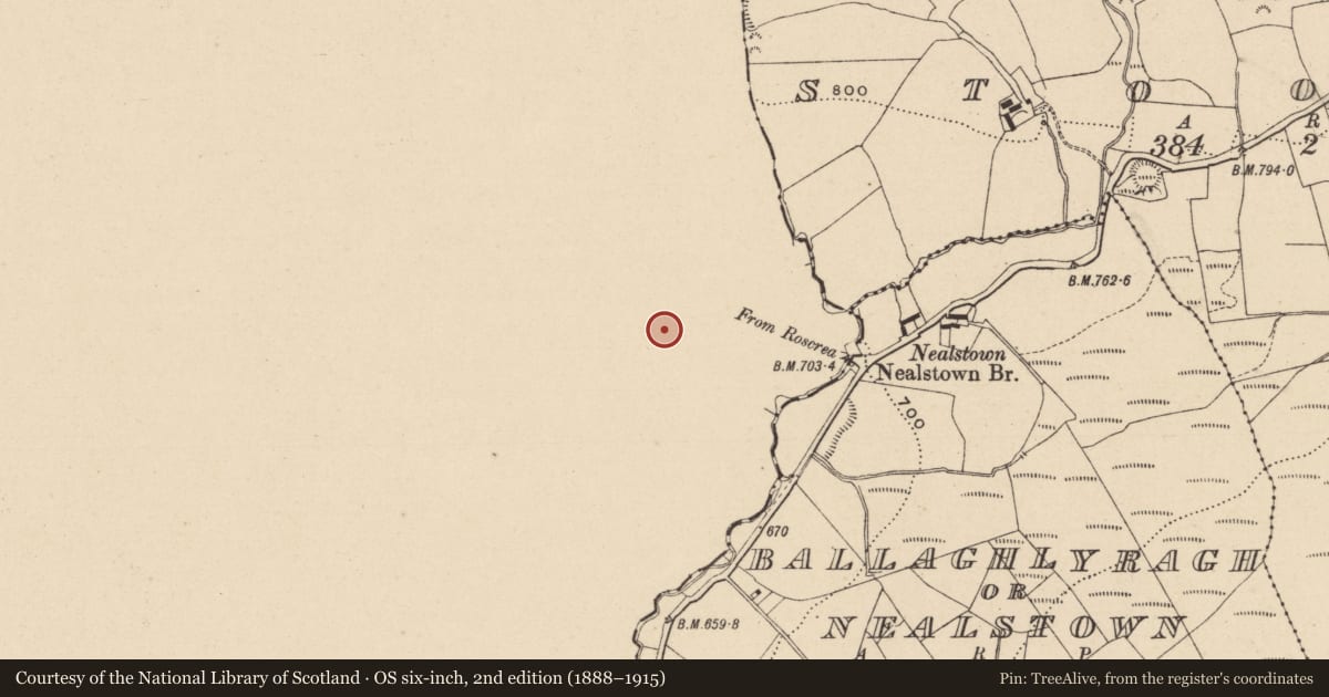 Ordnance Survey six-inch map, 2nd edition (1888–1915) covering the location of Enclosure, Gorteen, County Offaly, with a pin at the register's coordinates