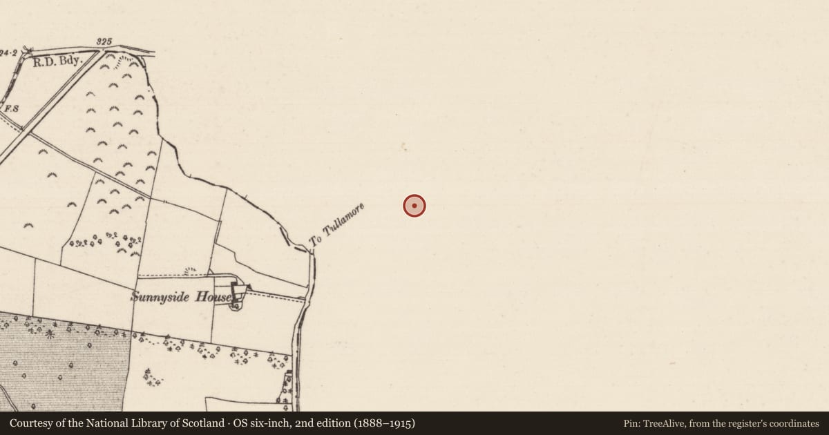 Ordnance Survey six-inch map, 2nd edition (1888–1915) covering the location of Standing stone, Dungar, County Offaly, with a pin at the register's coordinates