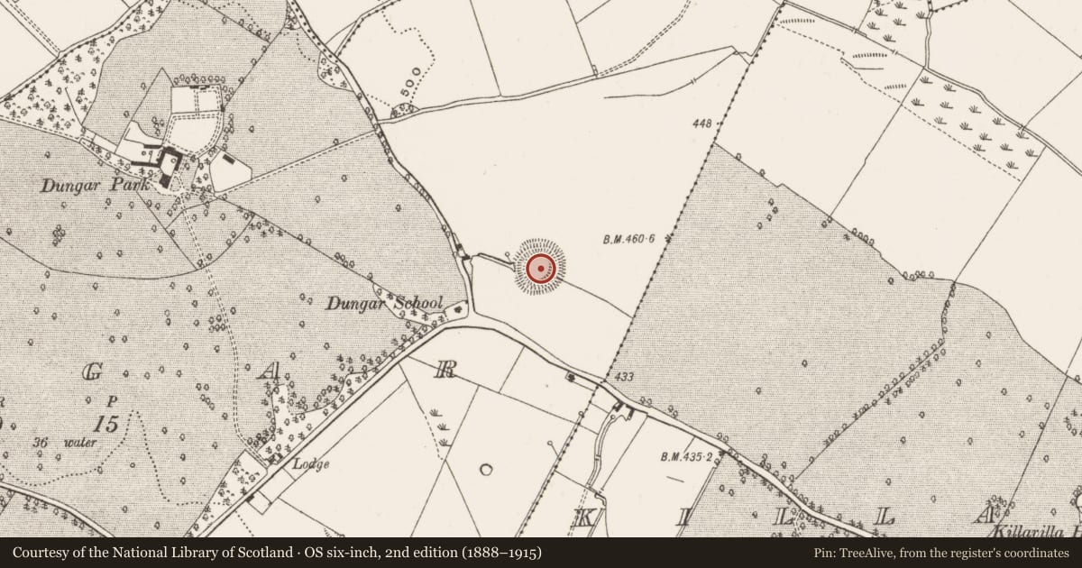 Ordnance Survey six-inch map, 2nd edition (1888–1915) covering the location of Castle - ringwork, Dungar, County Offaly, with a pin at the register's coordinates