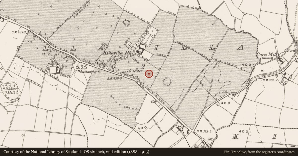Ordnance Survey six-inch map, 2nd edition (1888–1915) covering the location of Stone sculpture - iconic, Killavilla, County Offaly, with a pin at the register's coordinates