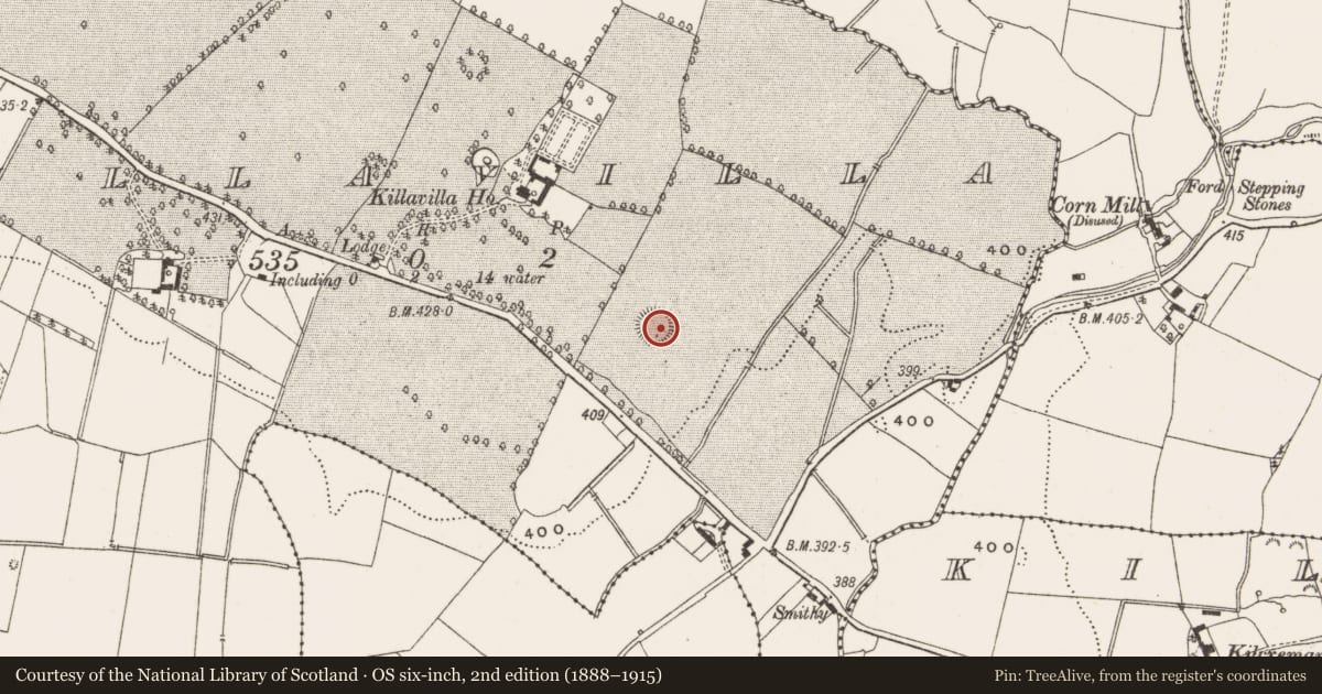 Ordnance Survey six-inch map, 2nd edition (1888–1915) covering the location of Ringfort - rath, Killavilla, County Offaly, with a pin at the register's coordinates