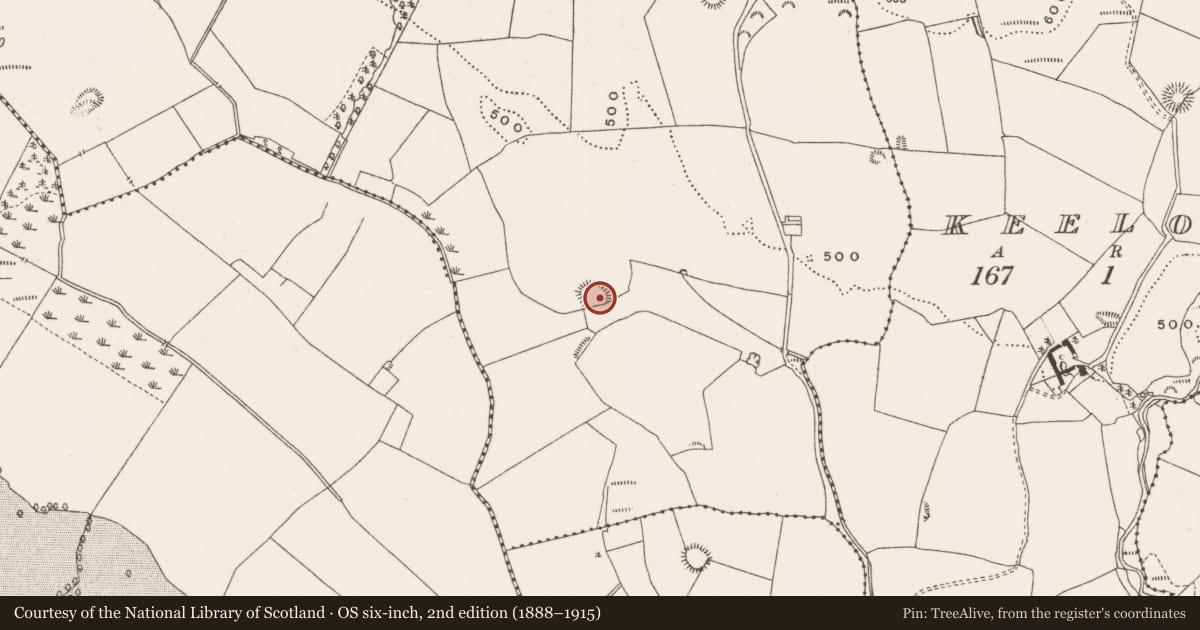 Ordnance Survey six-inch map, 2nd edition (1888–1915) covering the location of Ringfort - rath, Gorraun, County Offaly, with a pin at the register's coordinates