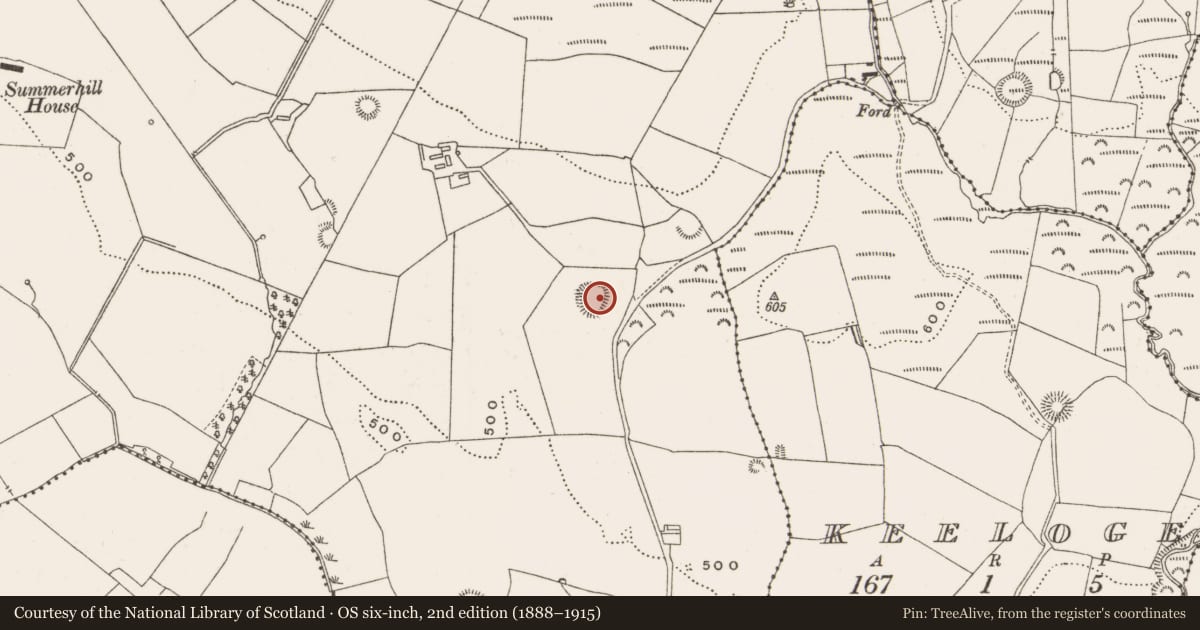 Ordnance Survey six-inch map, 2nd edition (1888–1915) covering the location of Enclosure, Gorraun, County Offaly, with a pin at the register's coordinates