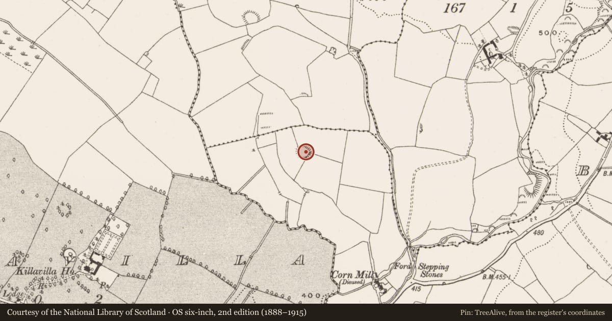 Ordnance Survey six-inch map, 2nd edition (1888–1915) covering the location of Ringfort - rath, Ballyduff, County Offaly, with a pin at the register's coordinates