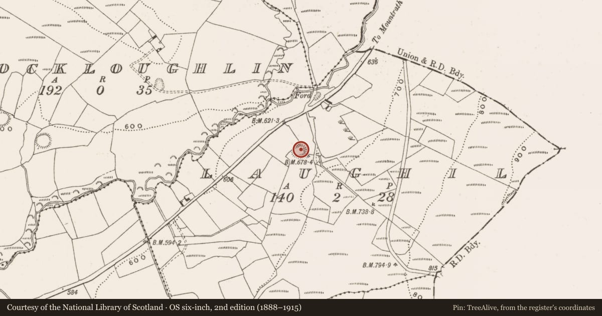 Ordnance Survey six-inch map, 2nd edition (1888–1915) covering the location of Enclosure, Laughil, County Offaly, with a pin at the register's coordinates