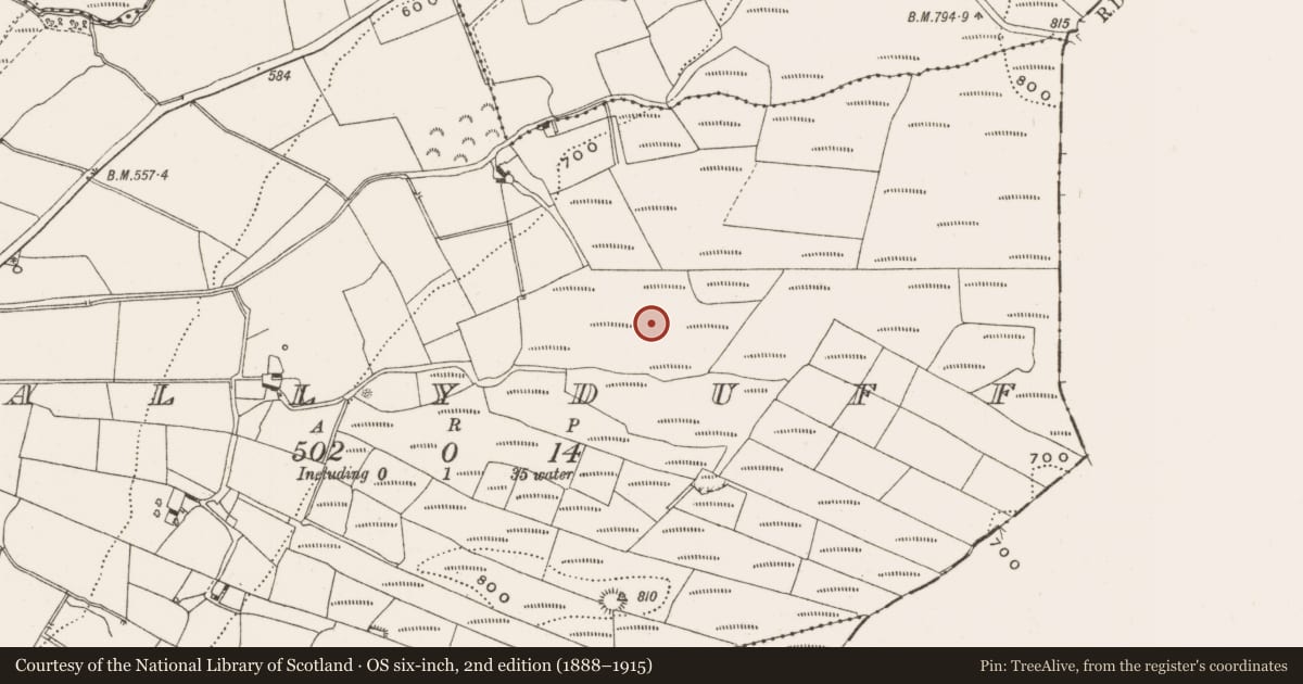 Ordnance Survey six-inch map, 2nd edition (1888–1915) covering the location of Field system, Ballyduff, County Offaly, with a pin at the register's coordinates