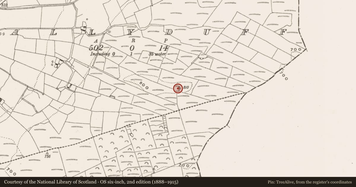 Ordnance Survey six-inch map, 2nd edition (1888–1915) covering the location of Barrow - ring-barrow, Ballyduff, County Offaly, with a pin at the register's coordinates