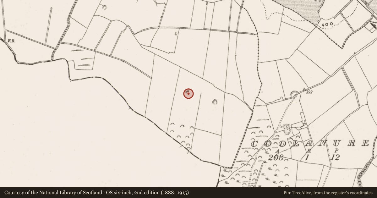 Ordnance Survey six-inch map, 2nd edition (1888–1915) covering the location of Enclosure, Killavilla, County Offaly, with a pin at the register's coordinates