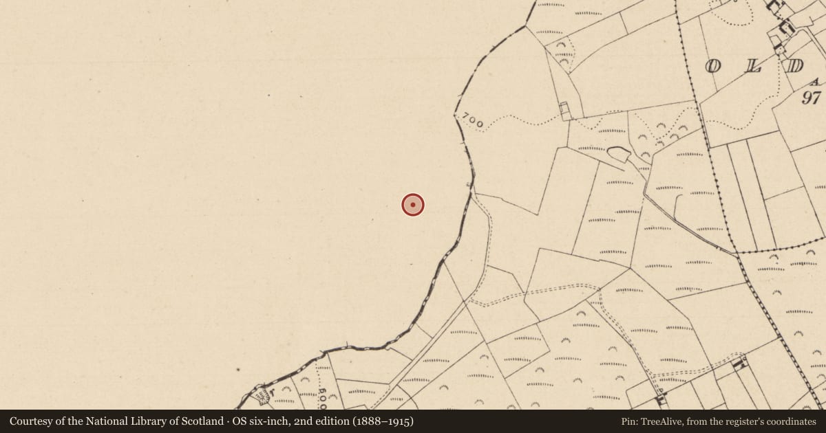 Ordnance Survey six-inch map, 2nd edition (1888–1915) covering the location of Barrow - ring-barrow, Kilcreman, County Offaly, with a pin at the register's coordinates