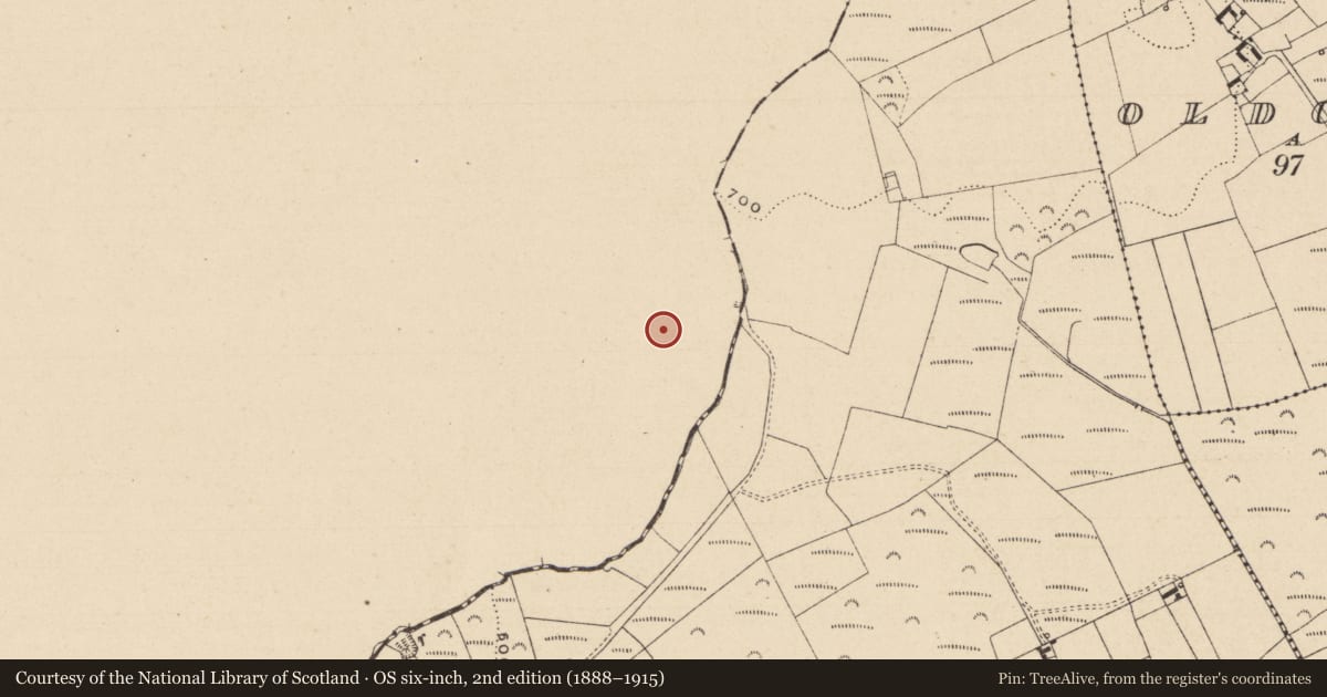 Ordnance Survey six-inch map, 2nd edition (1888–1915) covering the location of Standing stone, Kilcreman, County Offaly, with a pin at the register's coordinates