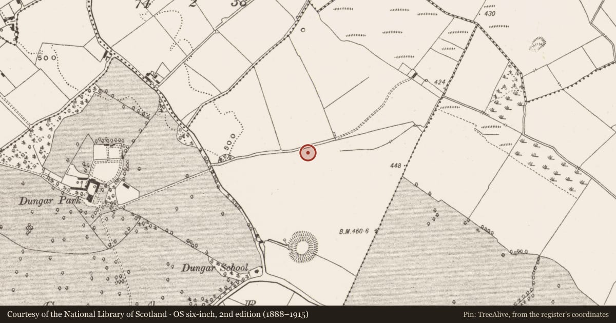 Ordnance Survey six-inch map, 2nd edition (1888–1915) covering the location of Standing stone, Dungar, County Offaly, with a pin at the register's coordinates