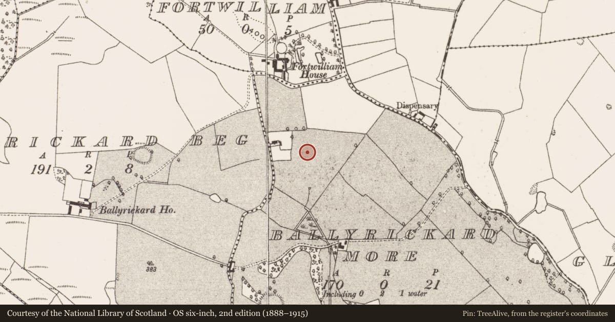 Ordnance Survey six-inch map, 2nd edition (1888–1915) covering the location of Enclosure - large enclosure, Ballyrickard More, County Offaly, with a pin at the register's coordinates