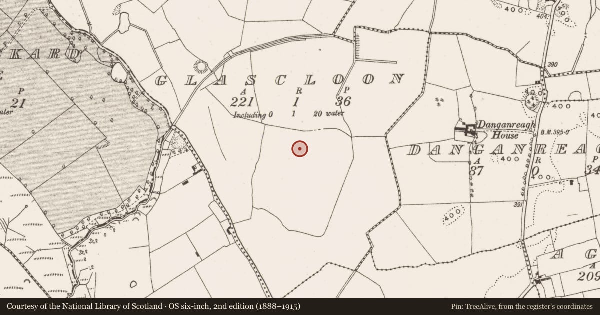 Ordnance Survey six-inch map, 2nd edition (1888–1915) covering the location of Earthwork, Glascloon, County Offaly, with a pin at the register's coordinates