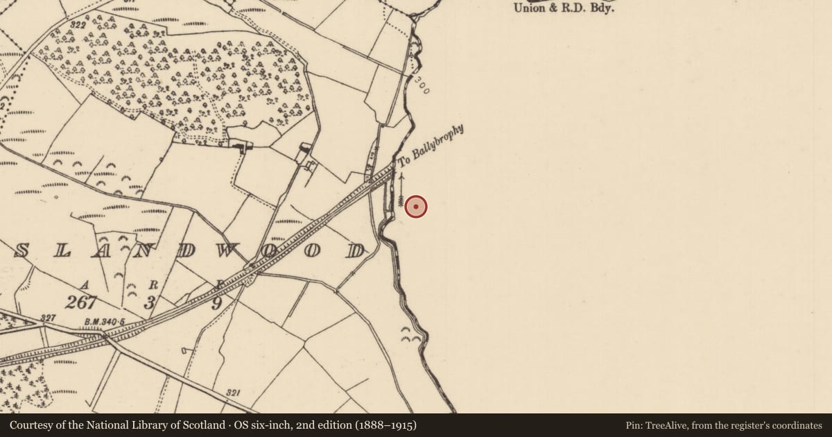Ordnance Survey six-inch map, 2nd edition (1888–1915) covering the location of Castle - unclassified, Behernagh, County Offaly, with a pin at the register's coordinates