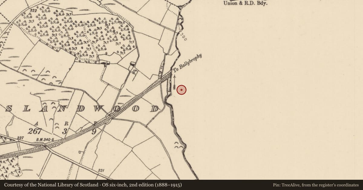Ordnance Survey six-inch map, 2nd edition (1888–1915) covering the location of Bawn, Behernagh, County Offaly, with a pin at the register's coordinates