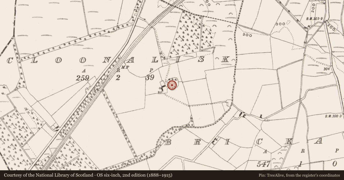 Ordnance Survey six-inch map, 2nd edition (1888–1915) covering the location of Designed landscape - tree-ring, Cloonalisk, County Offaly, with a pin at the register's coordinates