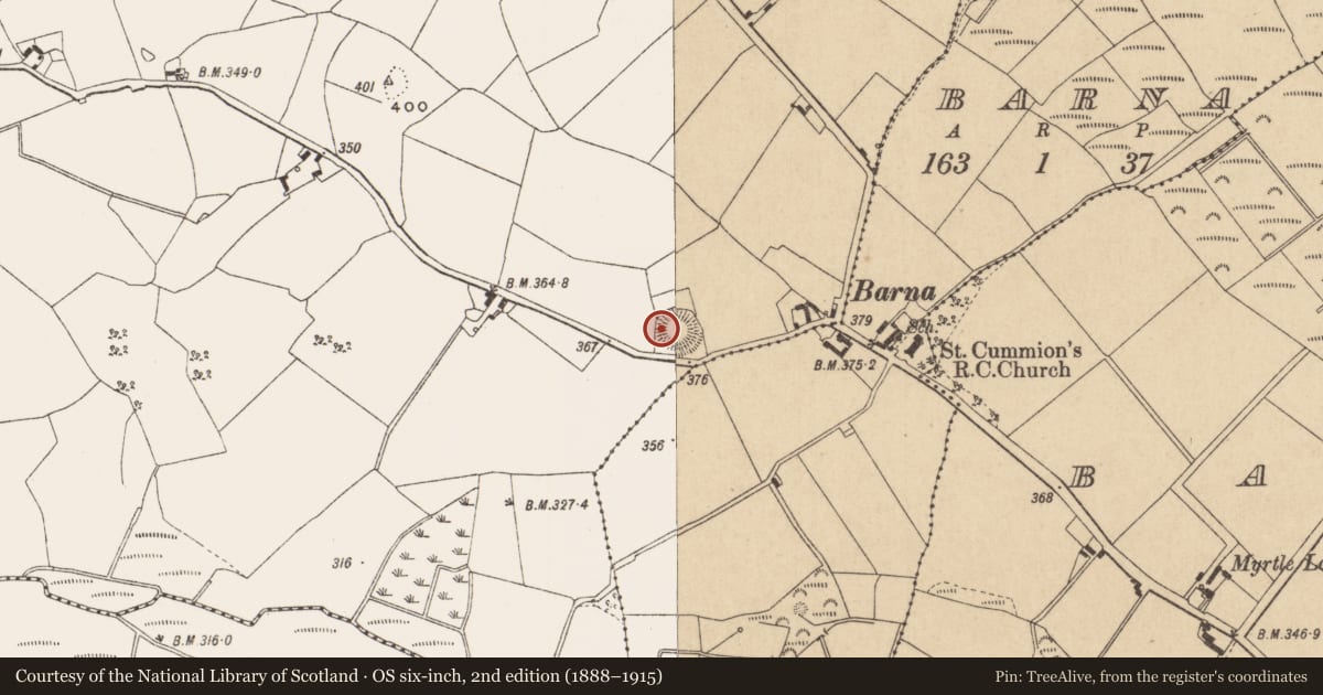 Ordnance Survey six-inch map, 2nd edition (1888–1915) covering the location of Souterrain, Corraclevin, County Offaly, with a pin at the register's coordinates