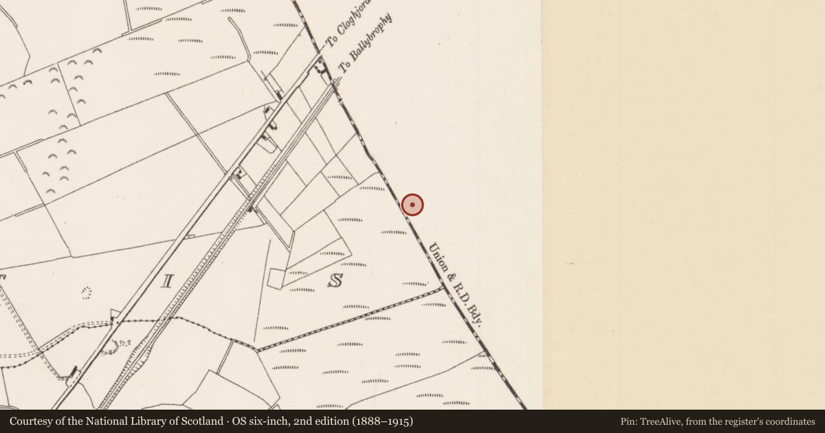 Ordnance Survey six-inch map, 2nd edition (1888–1915) covering the location of Enclosure, Brickanagh, County Offaly, with a pin at the register's coordinates