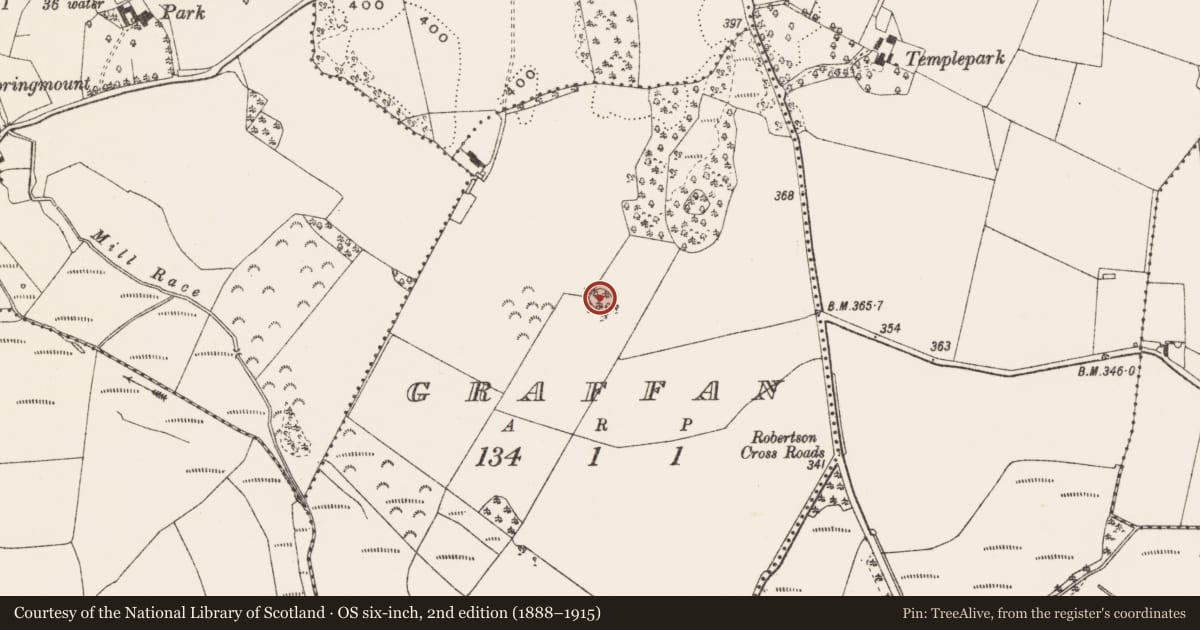 Ordnance Survey six-inch map, 2nd edition (1888–1915) covering the location of Ringfort - unclassified, Graffan, County Offaly, with a pin at the register's coordinates