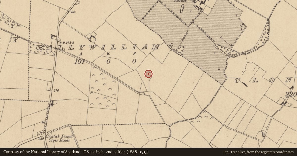 Ordnance Survey six-inch map, 2nd edition (1888–1915) covering the location of Ringfort - rath, Ballywilliam, County Offaly, with a pin at the register's coordinates
