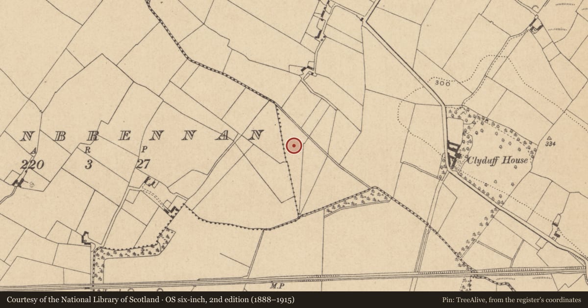 Ordnance Survey six-inch map, 2nd edition (1888–1915) covering the location of Enclosure, Clyduff, County Offaly, with a pin at the register's coordinates