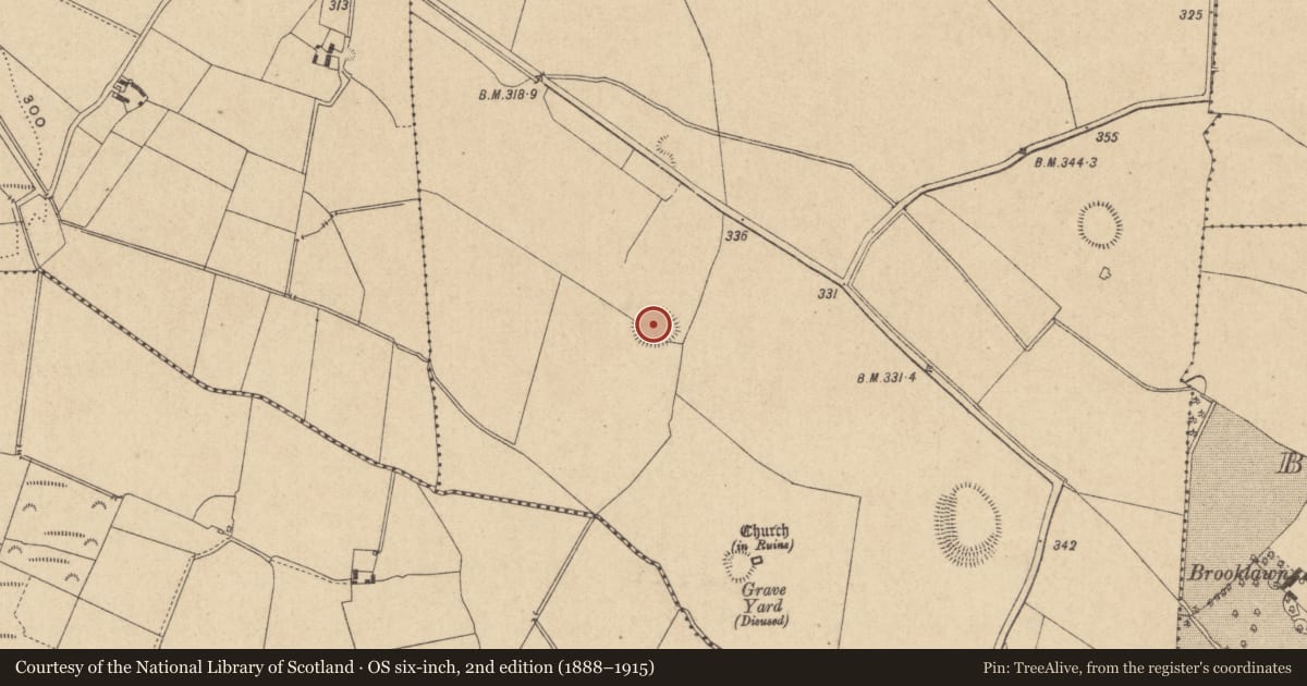 Ordnance Survey six-inch map, 2nd edition (1888–1915) covering the location of Ringfort - rath, Ballybrack, County Offaly, with a pin at the register's coordinates
